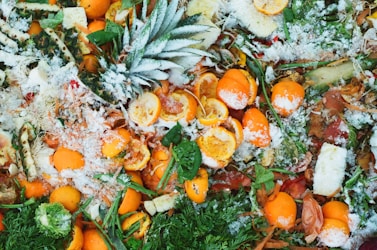 Building a Sustainable Food Ecosystem Through Technology and Community