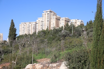 A cluster of tall residential buildings rises above a lush, green hillside. The structures are pale in color and contrast with the dense greenery of trees and shrubs in the foreground. The sky is clear and blue, giving the scene a bright and open feel.