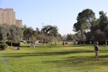 Diverse group of people enjoying a community park surrounded by apartment buildings.