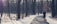 A person is running along a winding path surrounded by a winter forest. The ground is covered with patches of snow, and bare trees line both sides of the trail. The atmosphere appears chilly yet serene, with sunlight filtering through the branches.