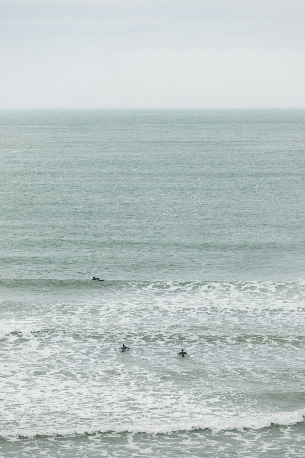 birds on sea during daytime