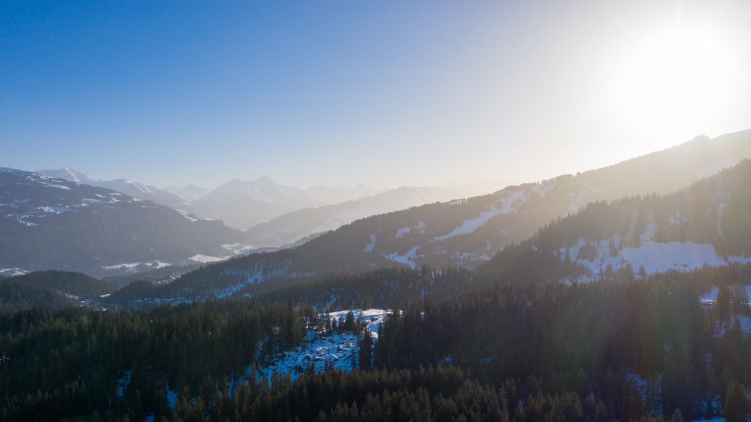 green trees on mountain under blue sky during daytime