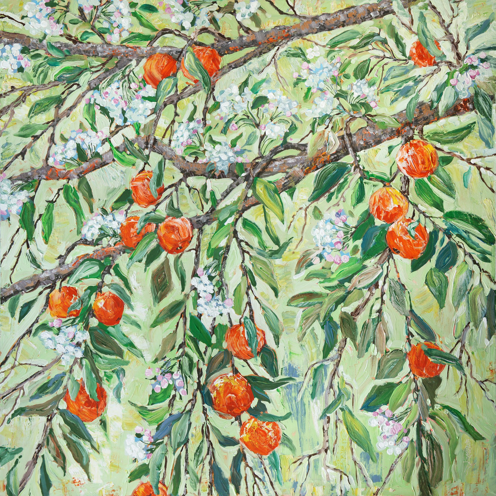 red and green leaves on tree branch