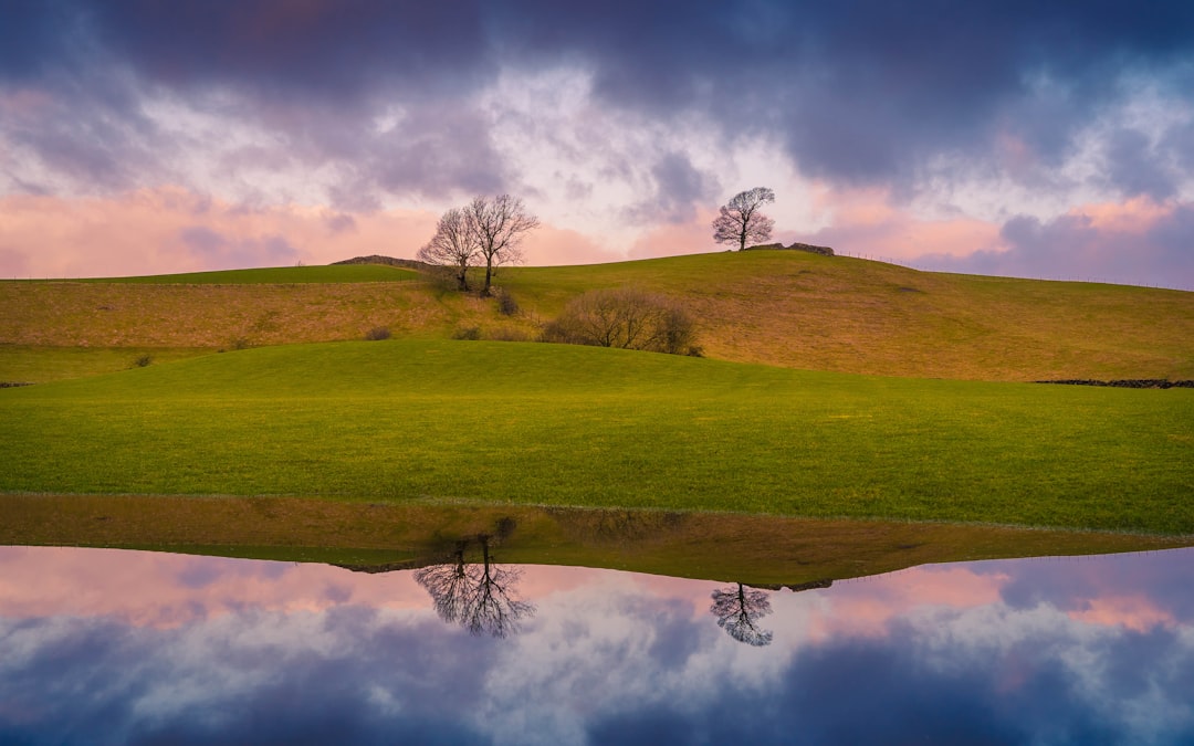 green grass field under cloudy sky during daytime