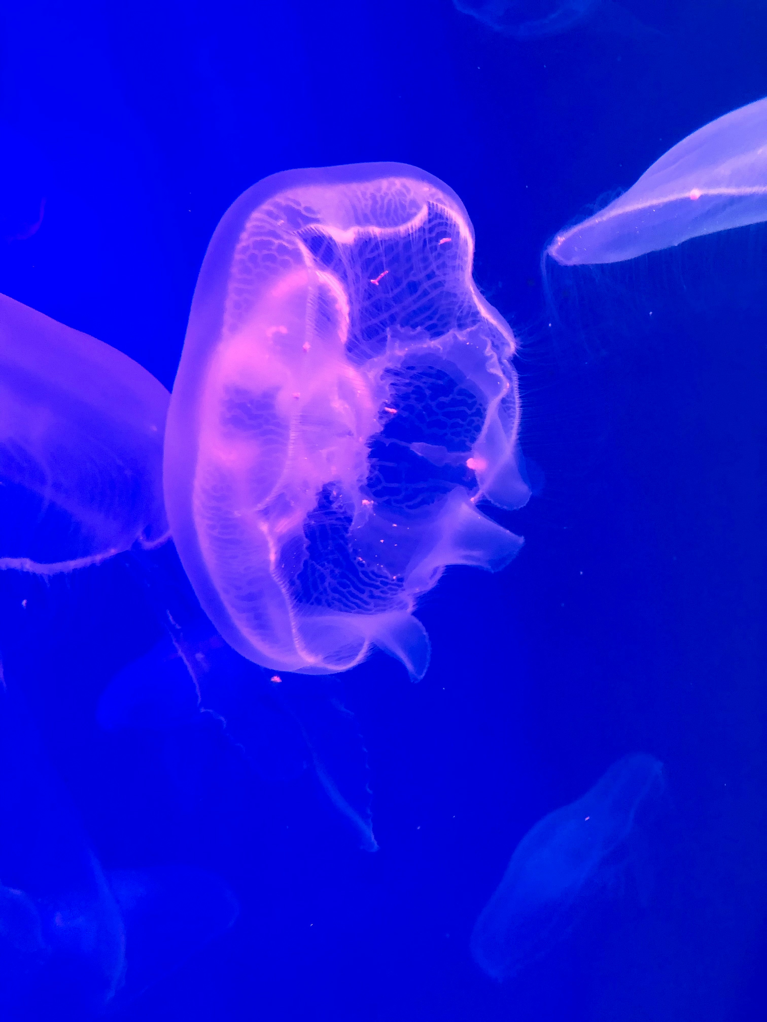 Photo by tanyaaktaeva56