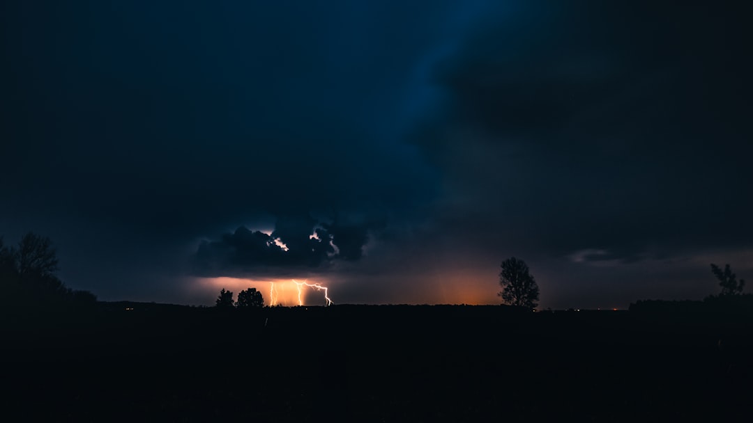 silhouette of trees under dark sky