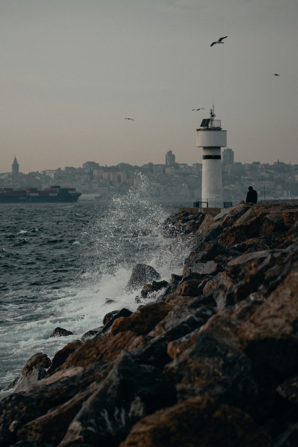 Phare blanc et noir près de la mer pendant la journée