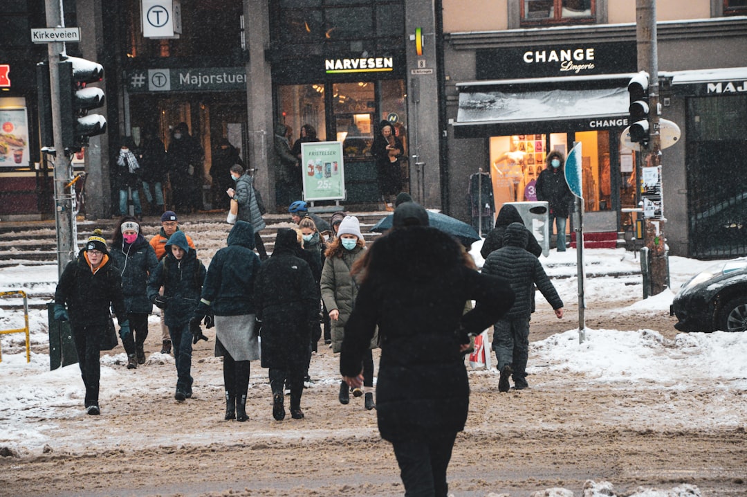 people walking on street during daytime