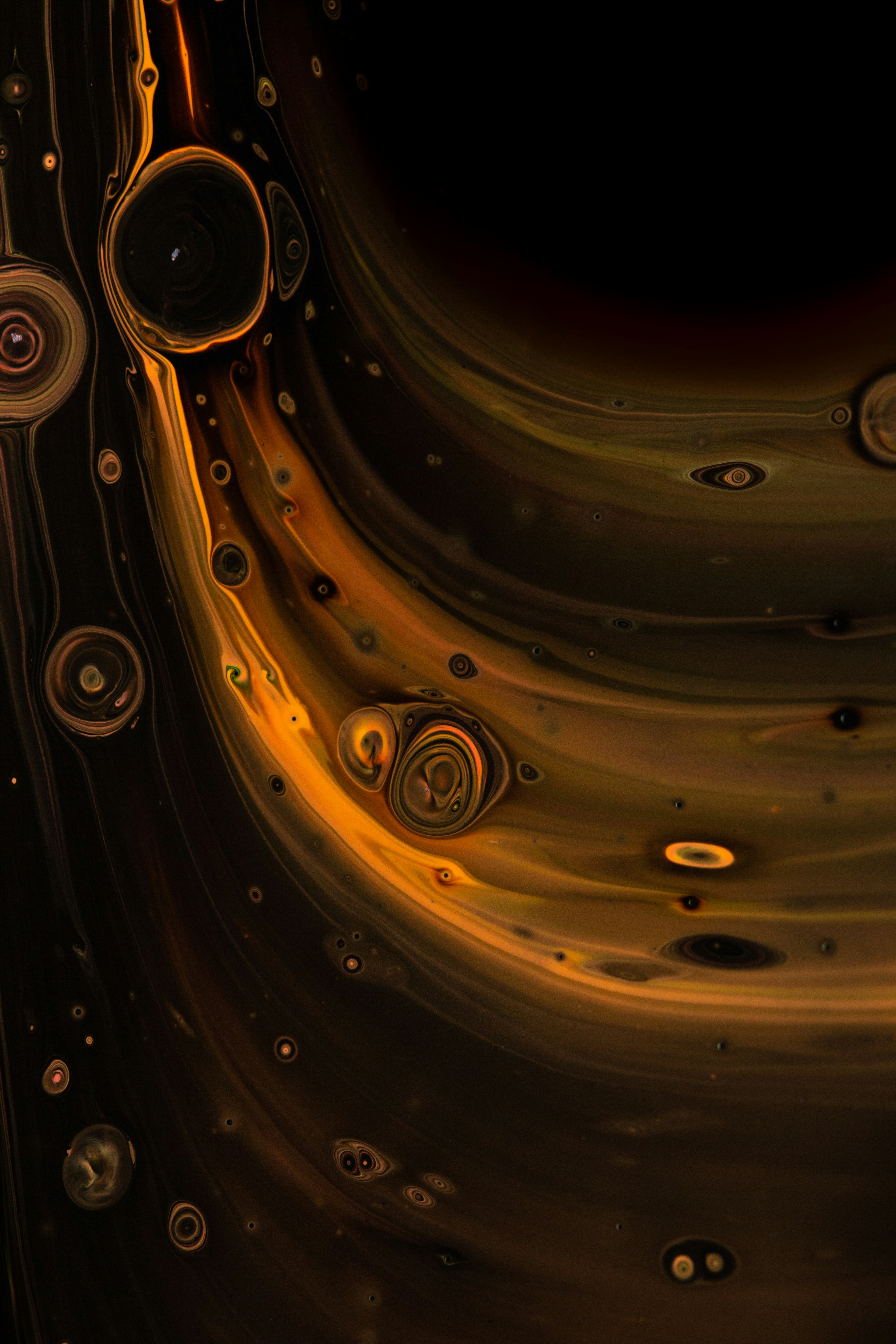 How Your Gut Bacteria Control Your Food Choices