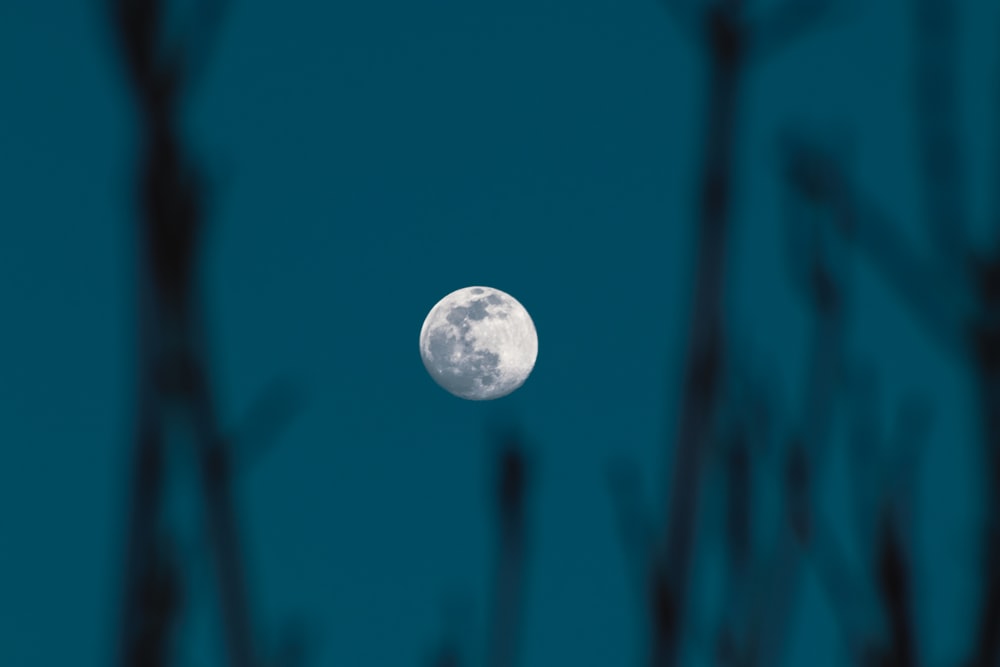 full moon in blue sky