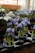 Several small pots filled with blooming purple irises are neatly arranged on a tray in a greenhouse or plant nursery. The plants are set against a backdrop of blurry greenery and a woven basket can be seen in the background. The atmosphere suggests a place dedicated to cultivating plants, with soft natural light filtering through the glass windows.