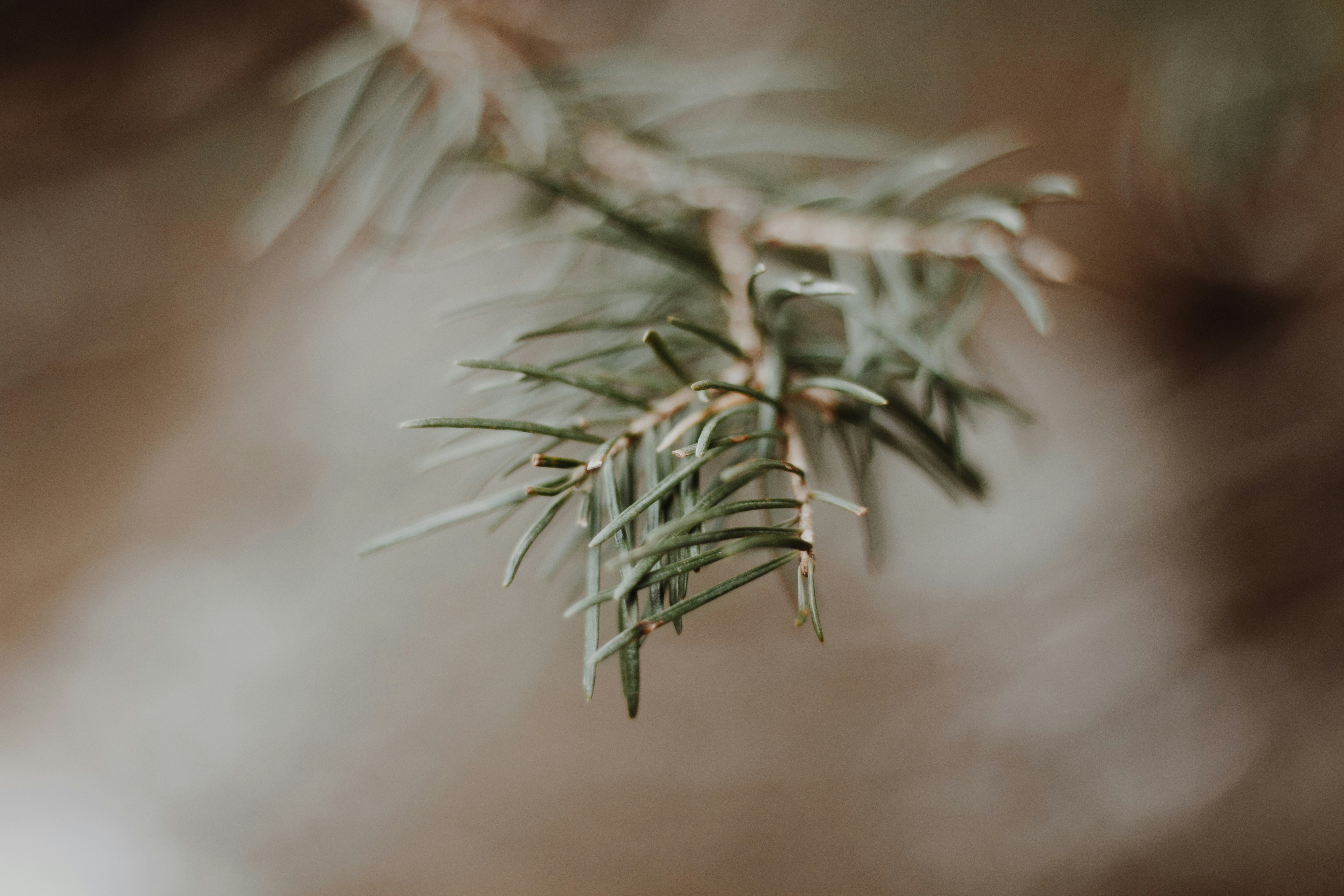 Photo by taylor_friehl