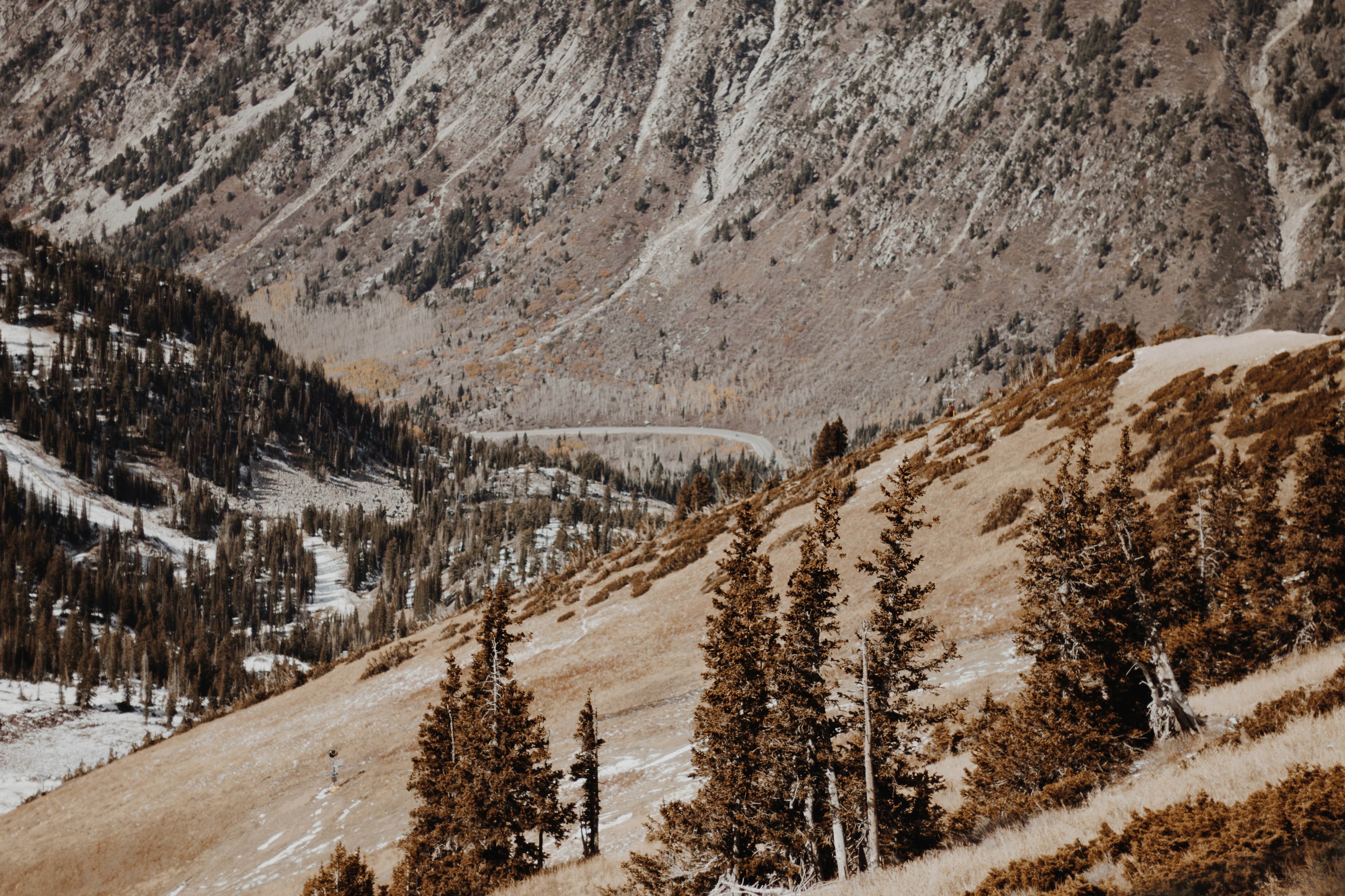 Photo by taylor_friehl