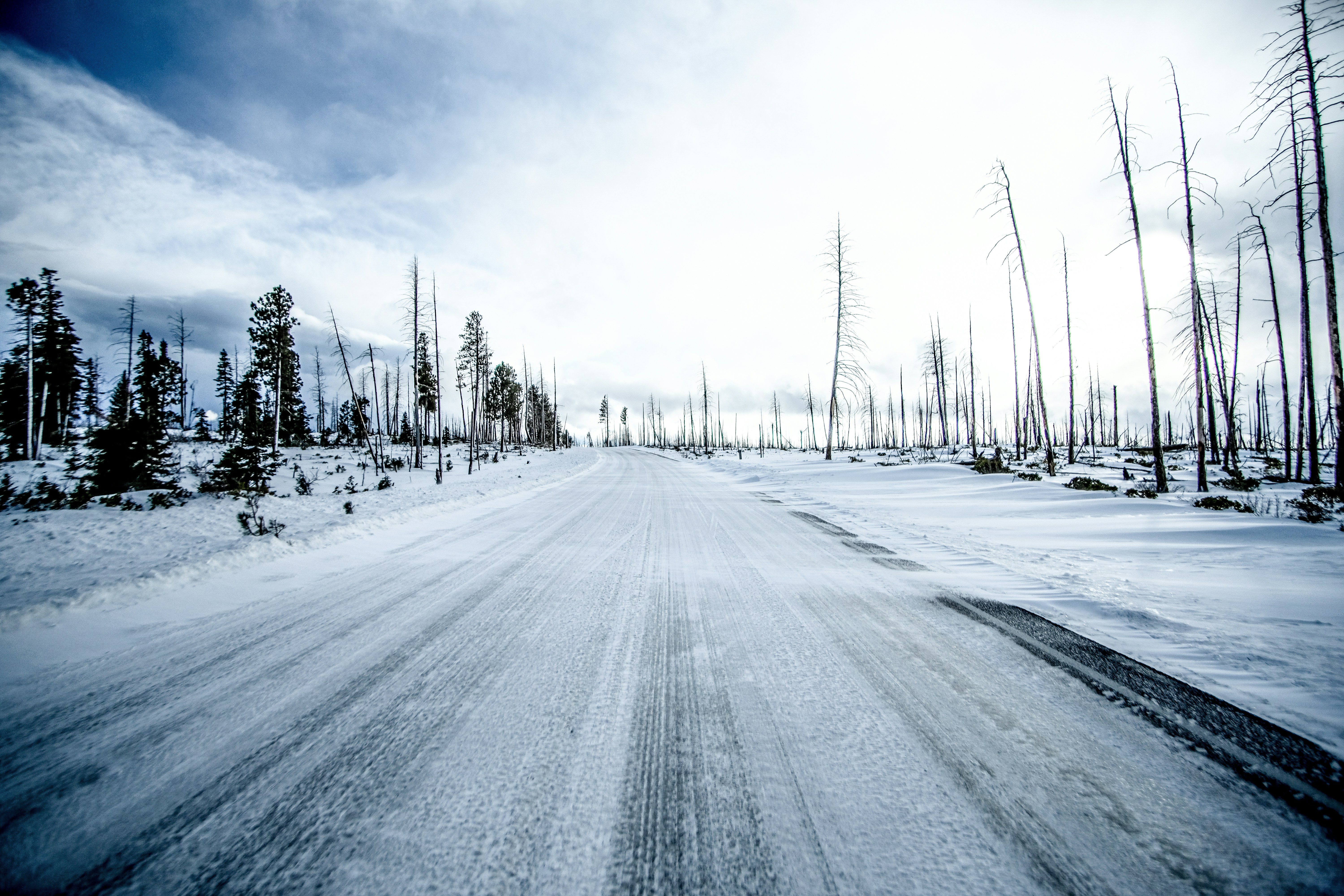 snow covered road between trees under white sky during daytime
