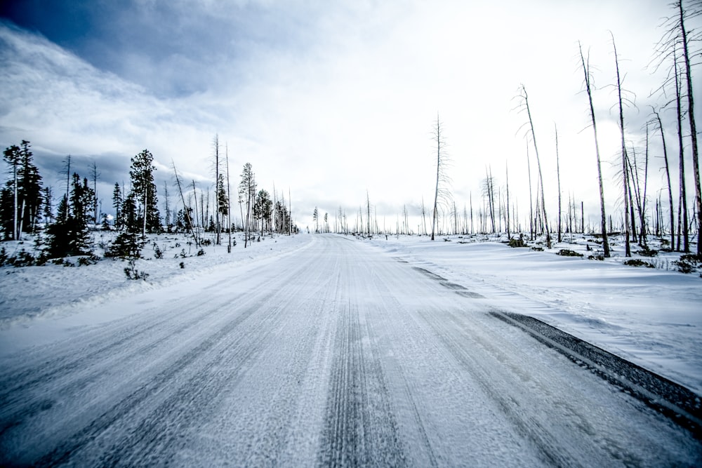 snow covered road between trees under white sky during daytime