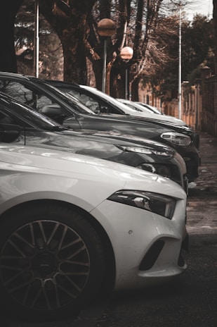 white car parked near trees during daytime
