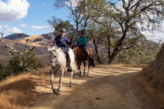 Two people are horseback riding on a dirt trail surrounded by nature. One is on a white horse, wearing a helmet and dark clothing, and the other is on a brown horse, also wearing a helmet and a green jacket. The trail is lined with dry grass and trees, with rolling hills and a partly cloudy sky in the background.