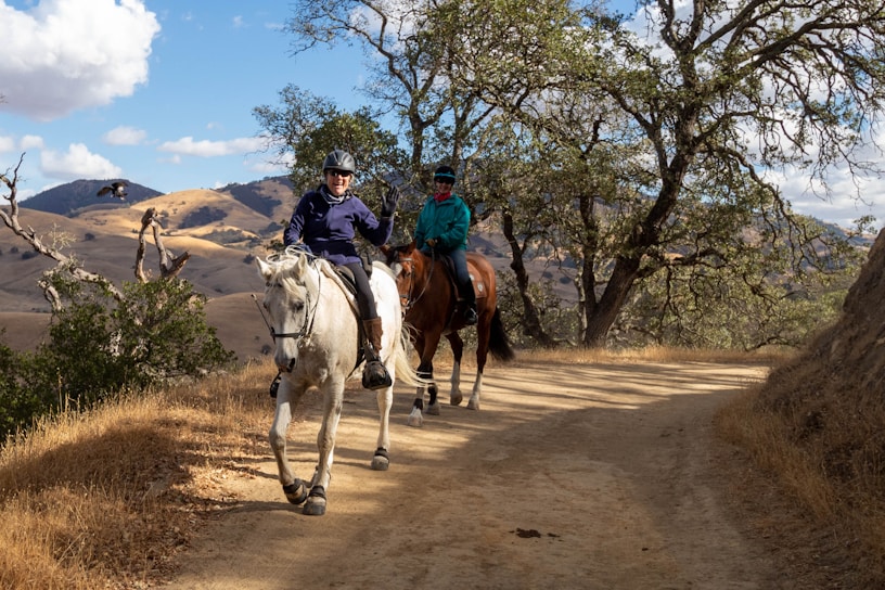 Two people are horseback riding on a dirt trail surrounded by nature. One is on a white horse, wearing a helmet and dark clothing, and the other is on a brown horse, also wearing a helmet and a green jacket. The trail is lined with dry grass and trees, with rolling hills and a partly cloudy sky in the background.