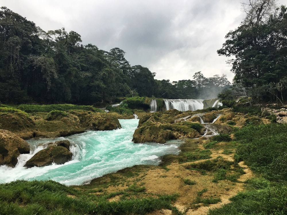 green trees near river under cloudy sky during daytime