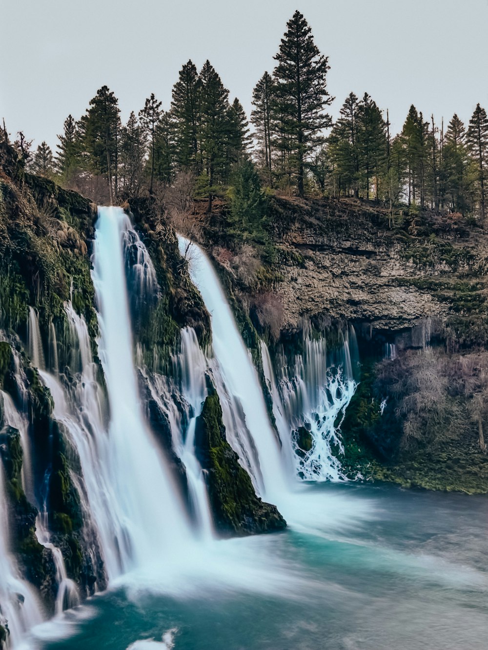 green pine trees beside water falls