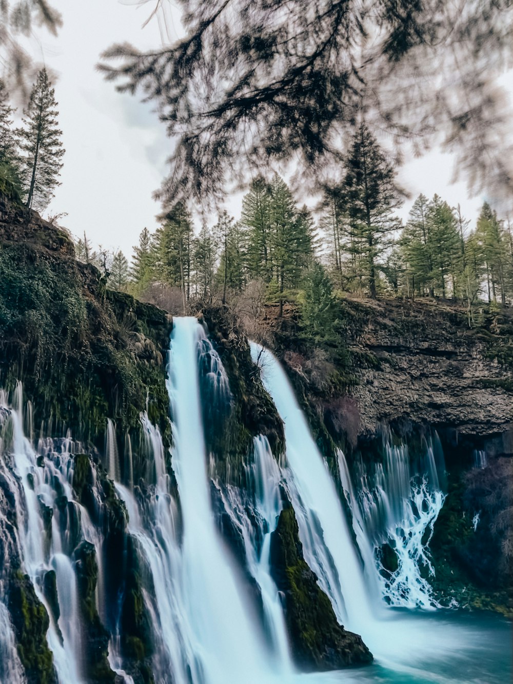 L’eau tombe dans la forêt