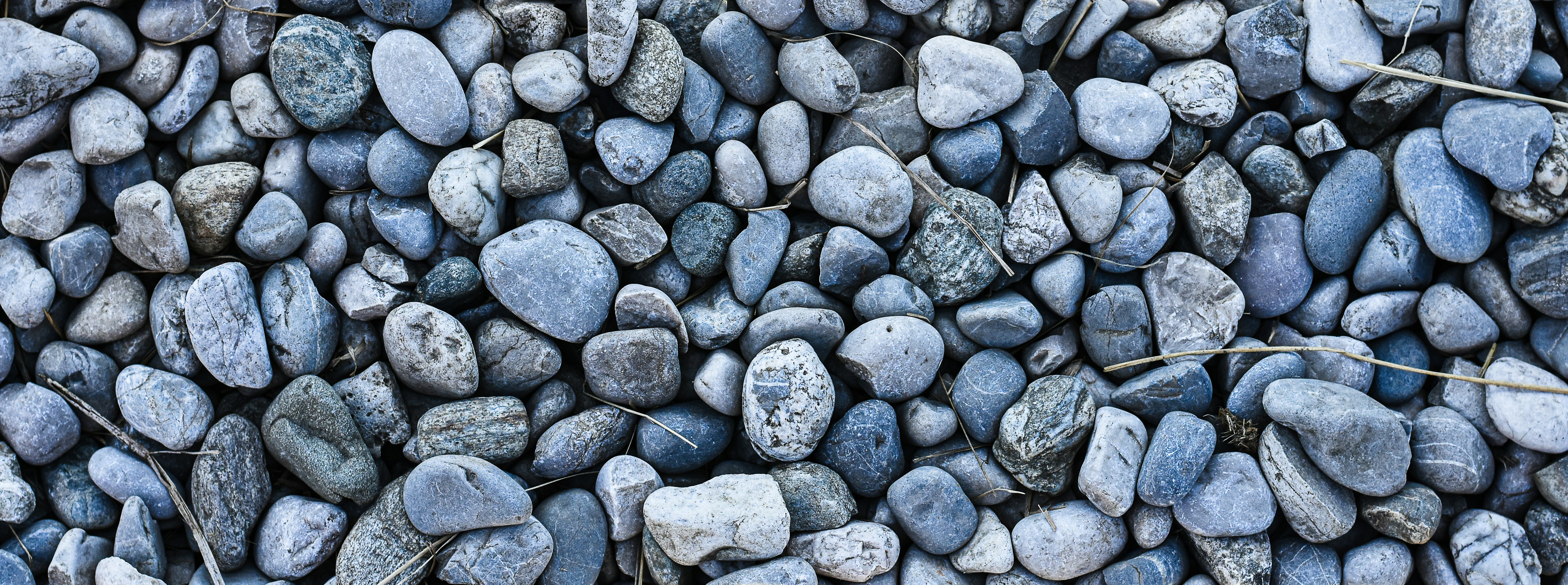 Photo by alexas_fotos