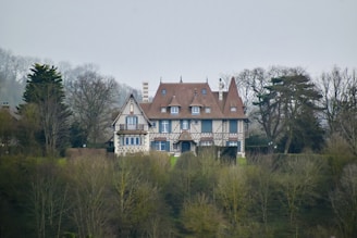 white and brown concrete house surrounded by green trees under white sky during daytime