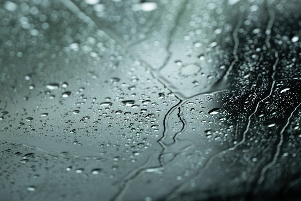 water droplets on glass window