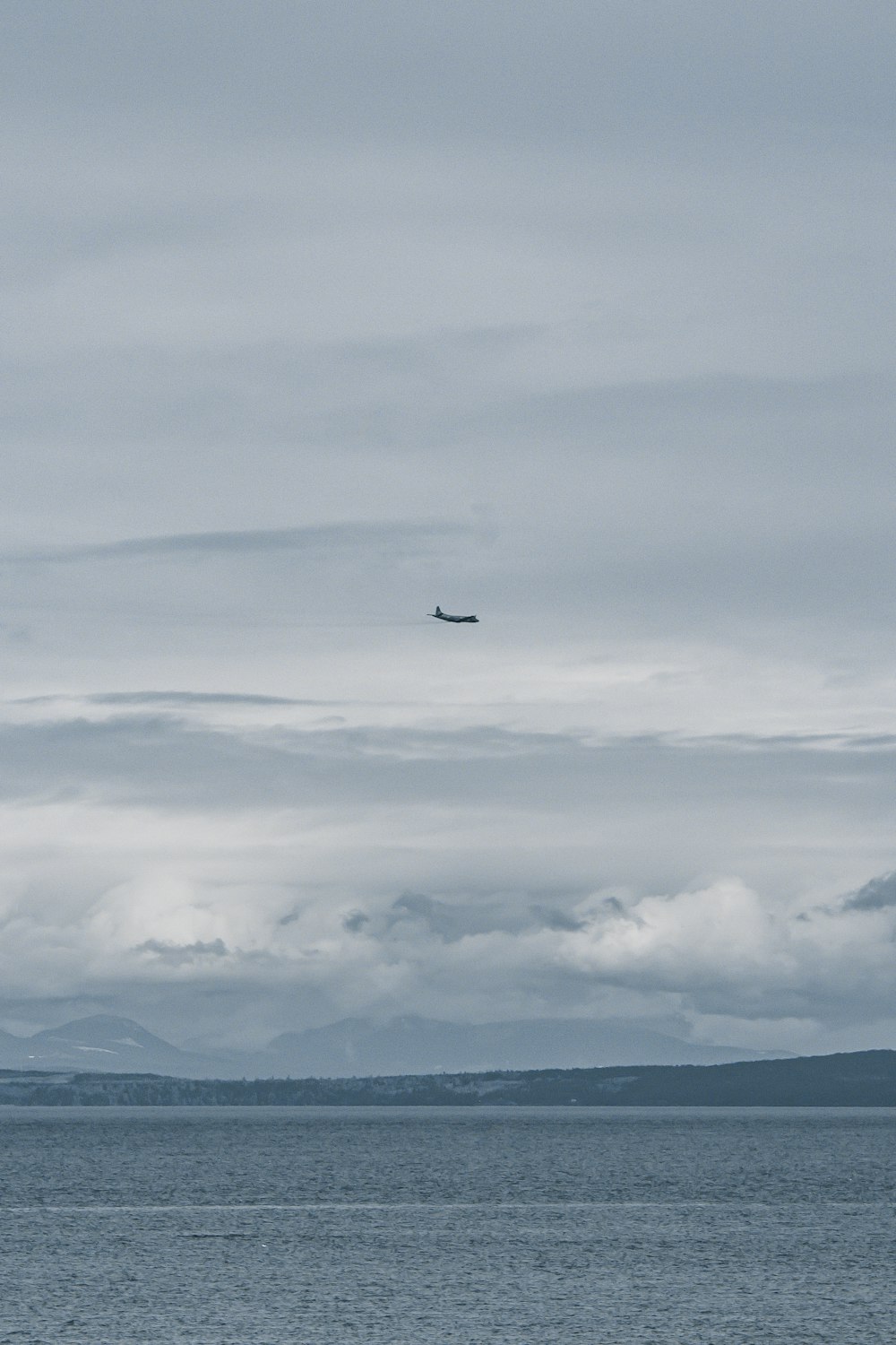 bird flying over the clouds during daytime