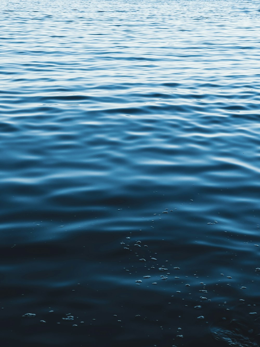 body of water during daytime