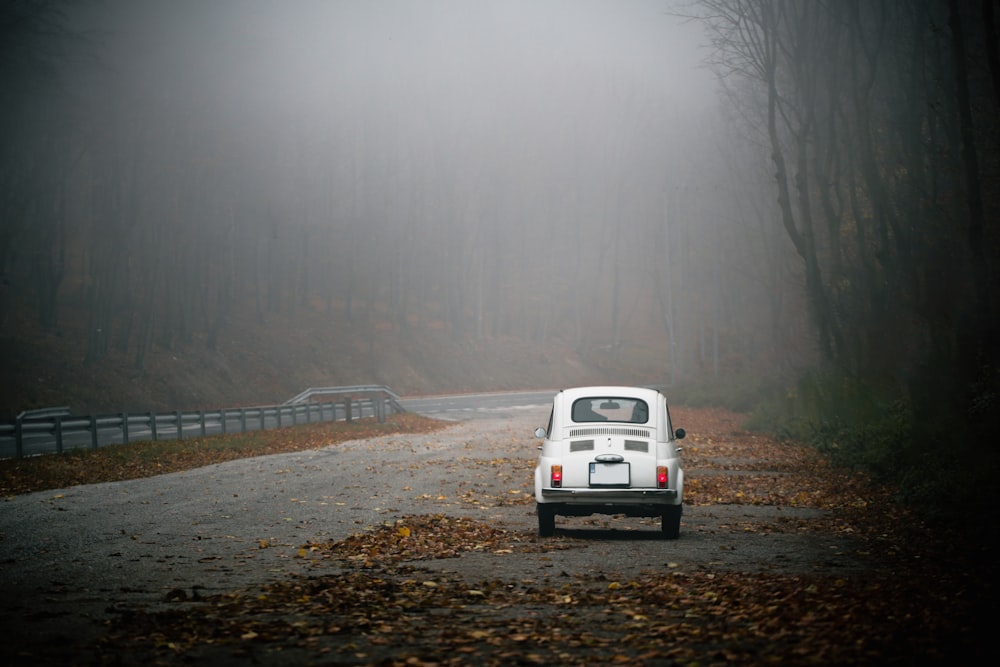 white car on road during foggy weather