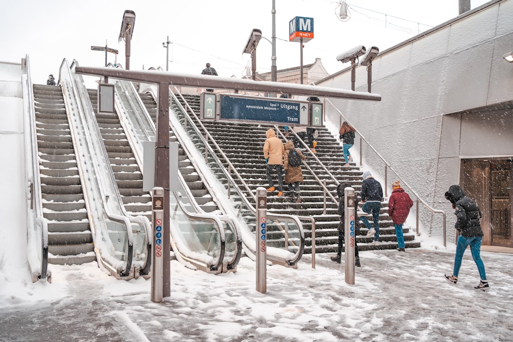 people riding on a roller coaster during daytime