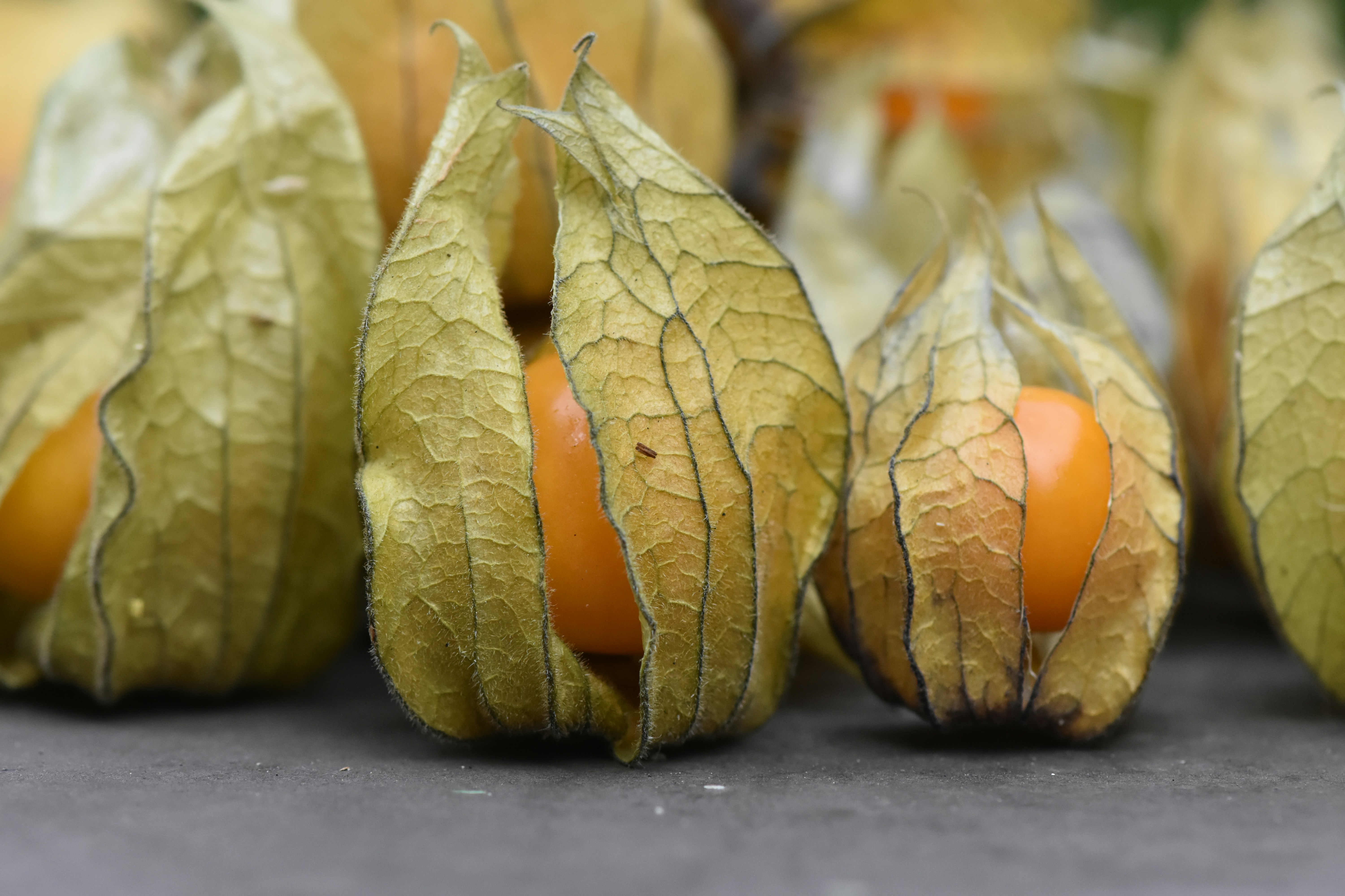 Photo by alexas_fotos