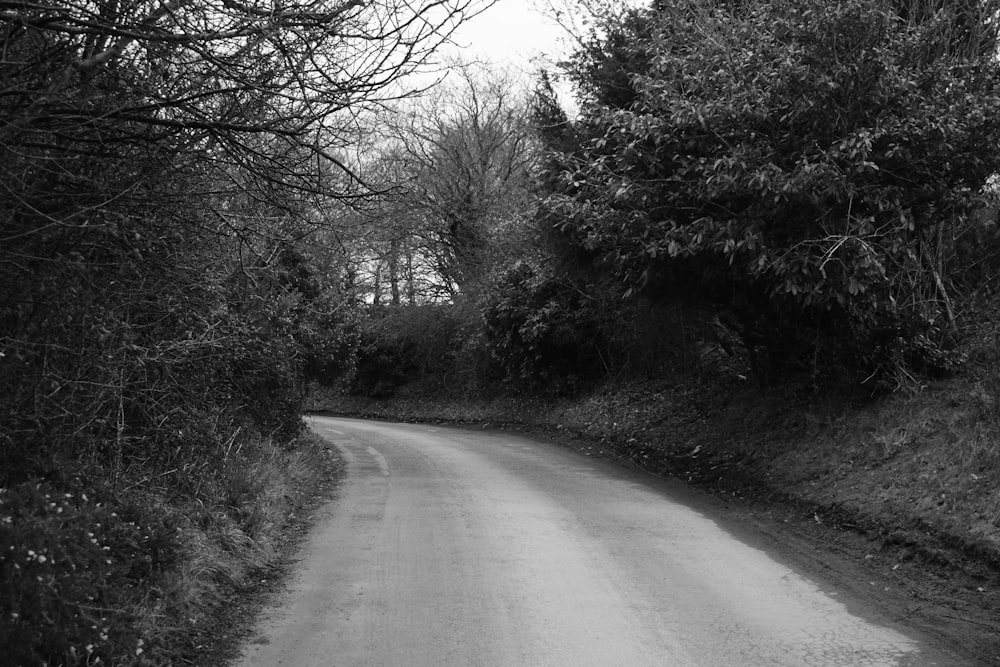 grayscale photo of road between trees