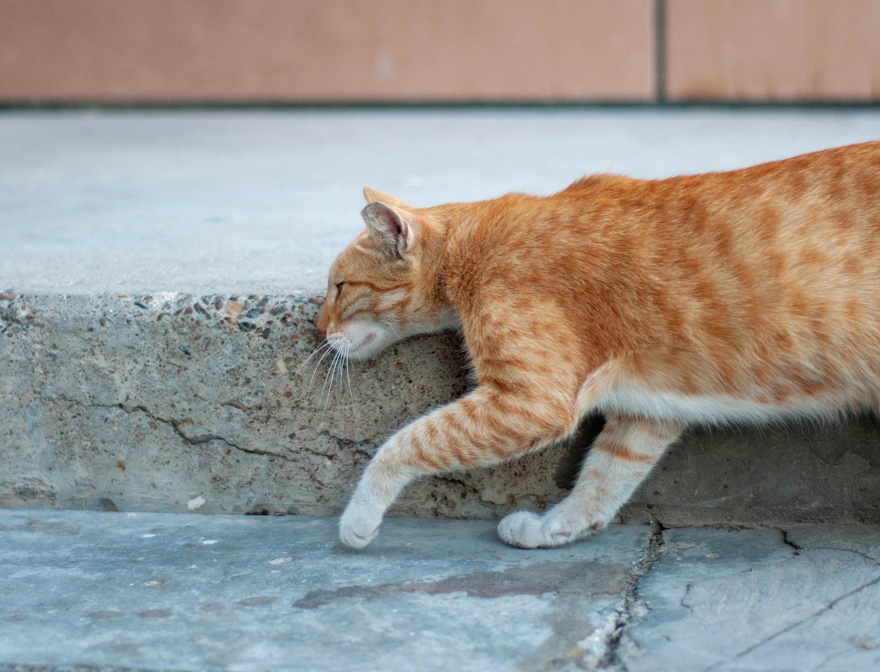 Photo by _reettalreja_