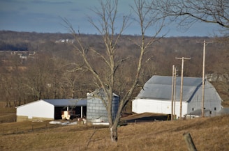 A rural landscape featuring barns and a silo, surrounded by leafless trees under a clear sky. The buildings and structures are set on gently rolling hills, with telephone poles visible in the foreground.