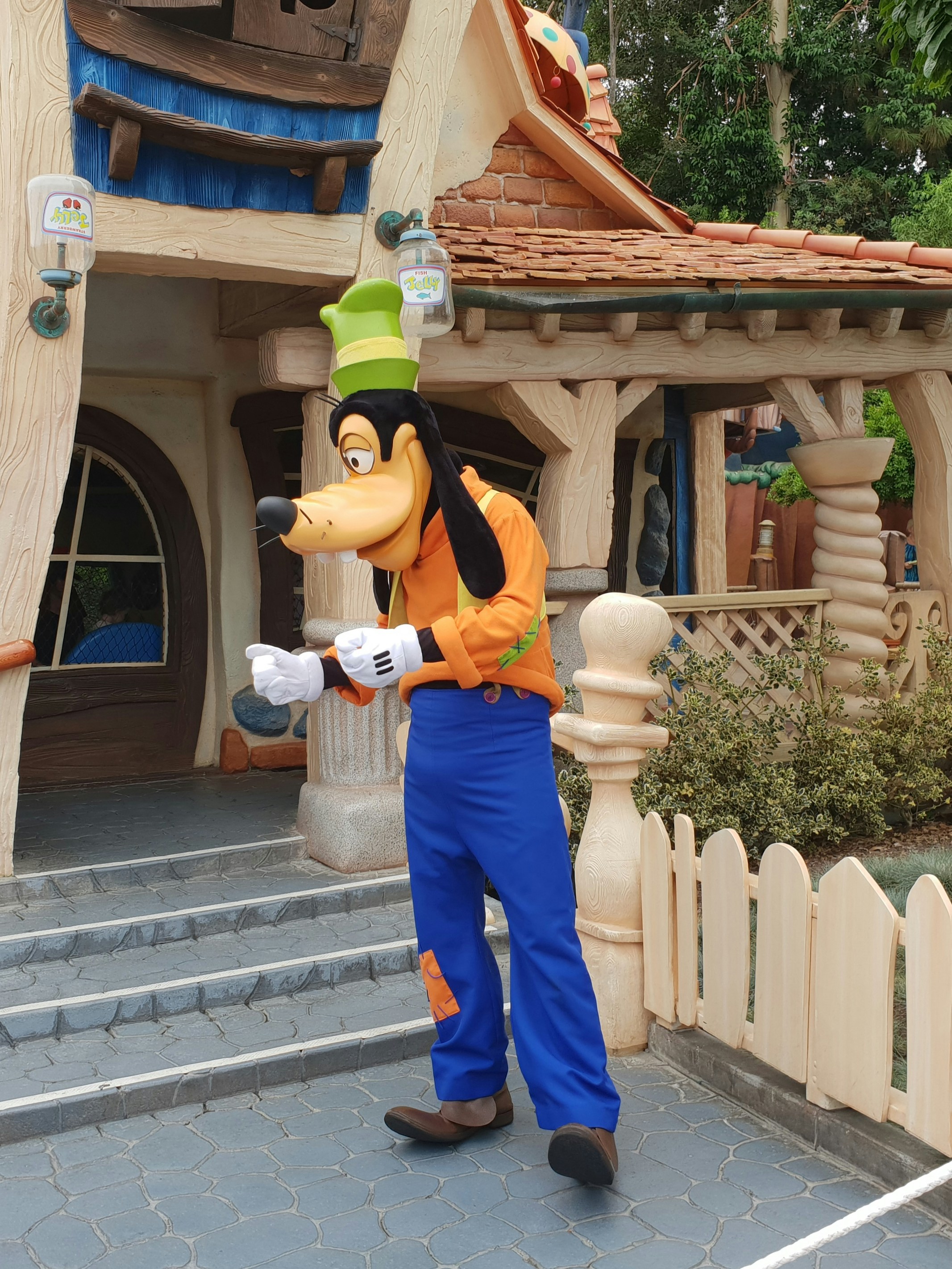 Cozy Goofy Rescue Hoodie