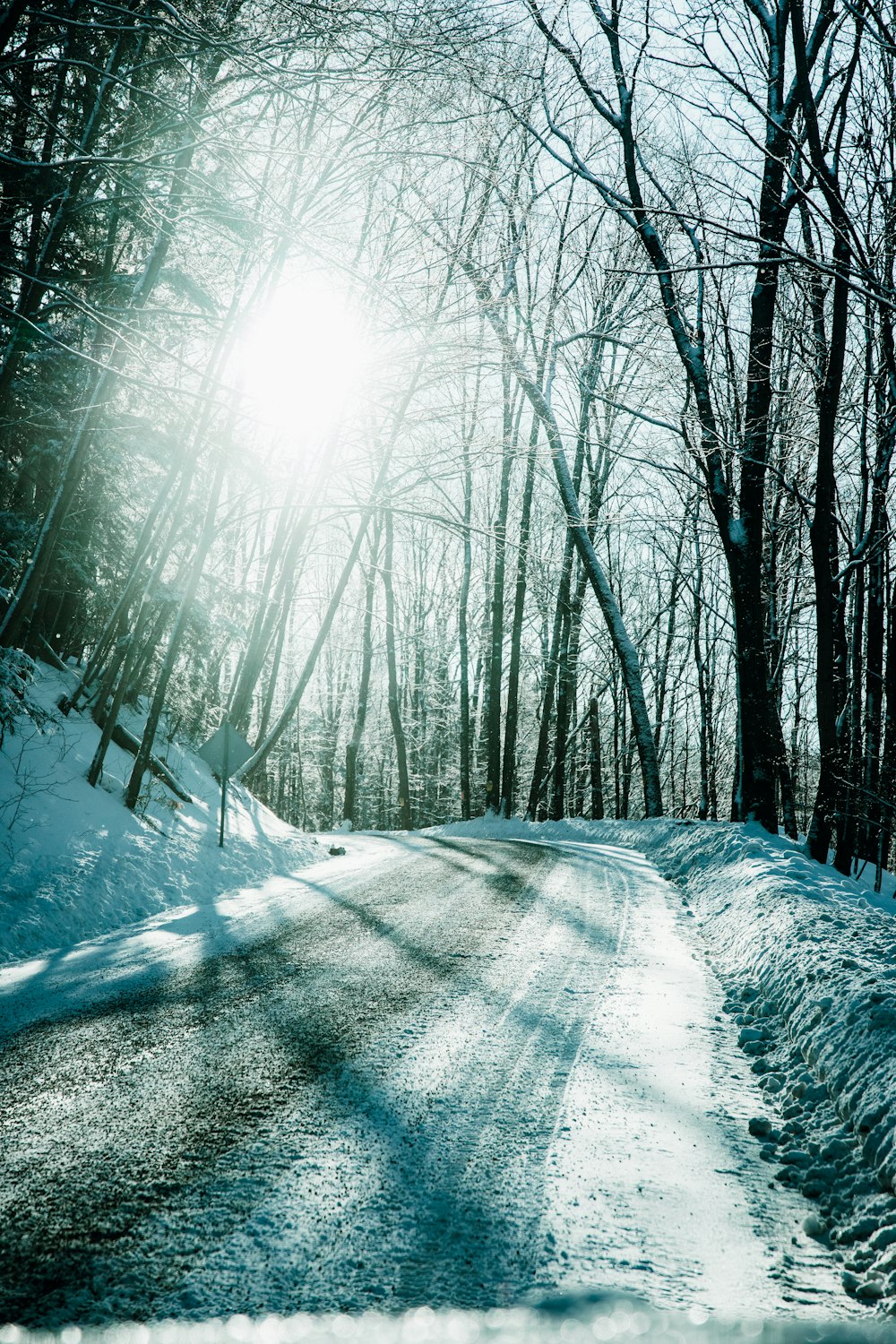 snow covered road between bare trees during daytime