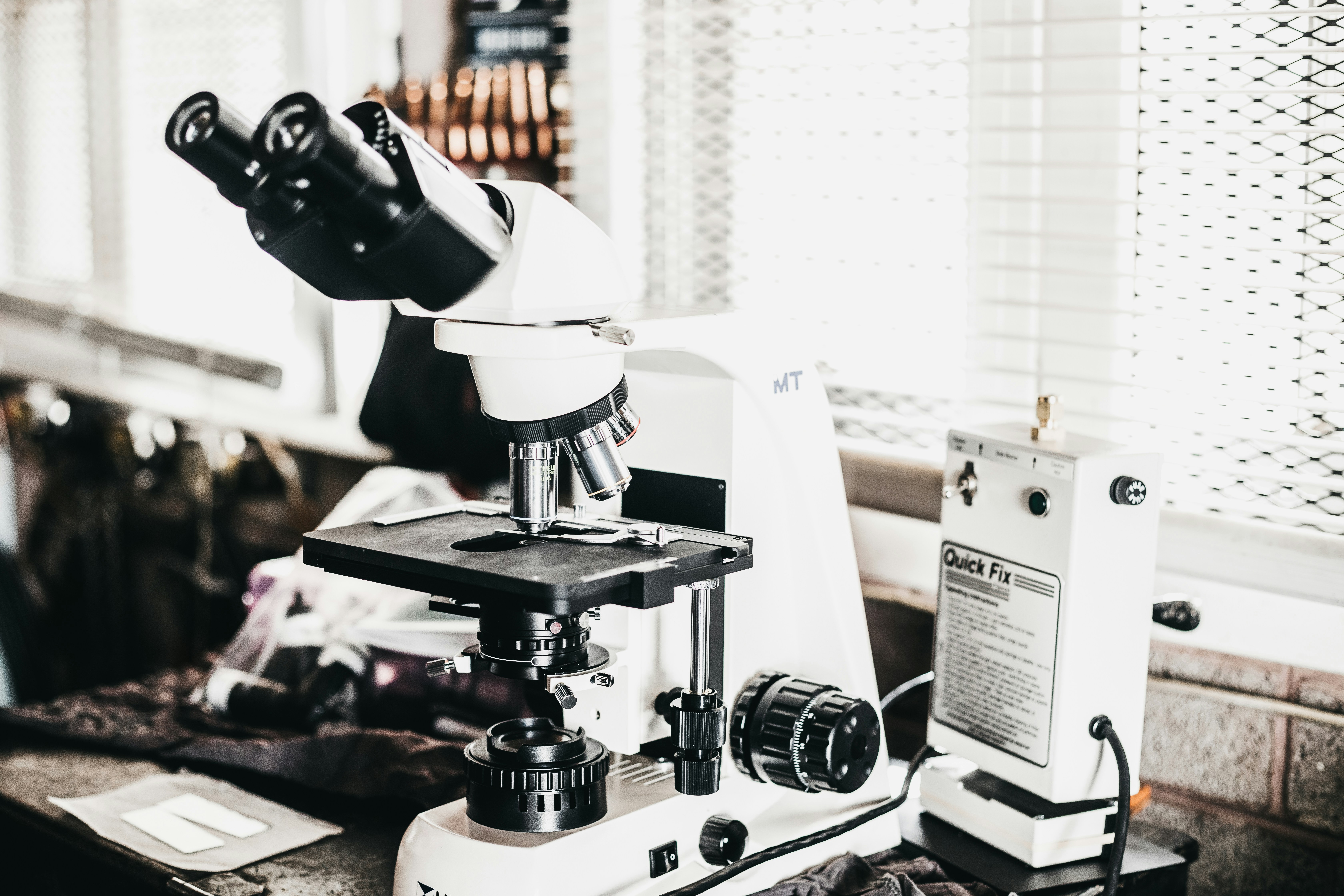 Theodor Schwann and the Cell Theory: Contributions, Context, and How to Write a Strong Essay on His Legacy