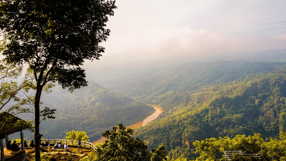 green trees on mountain during daytime