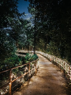 Rustic garden pathway illuminated by soft warm lights at dusk.