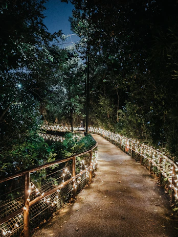 Rustic outdoor garden path lit warmly by LED bollard lights on a starry evening.