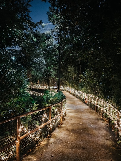 Rustic garden pathway illuminated by soft warm lights at dusk.