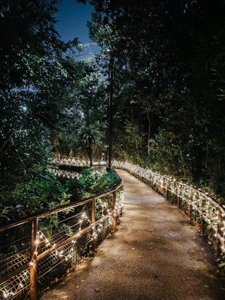 A cozy outdoor pathway softly illuminated by warm luminara pathway landscape lights at dusk.