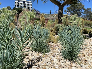 A small group gathered around a native plant garden during a sunny San Diego workshop.