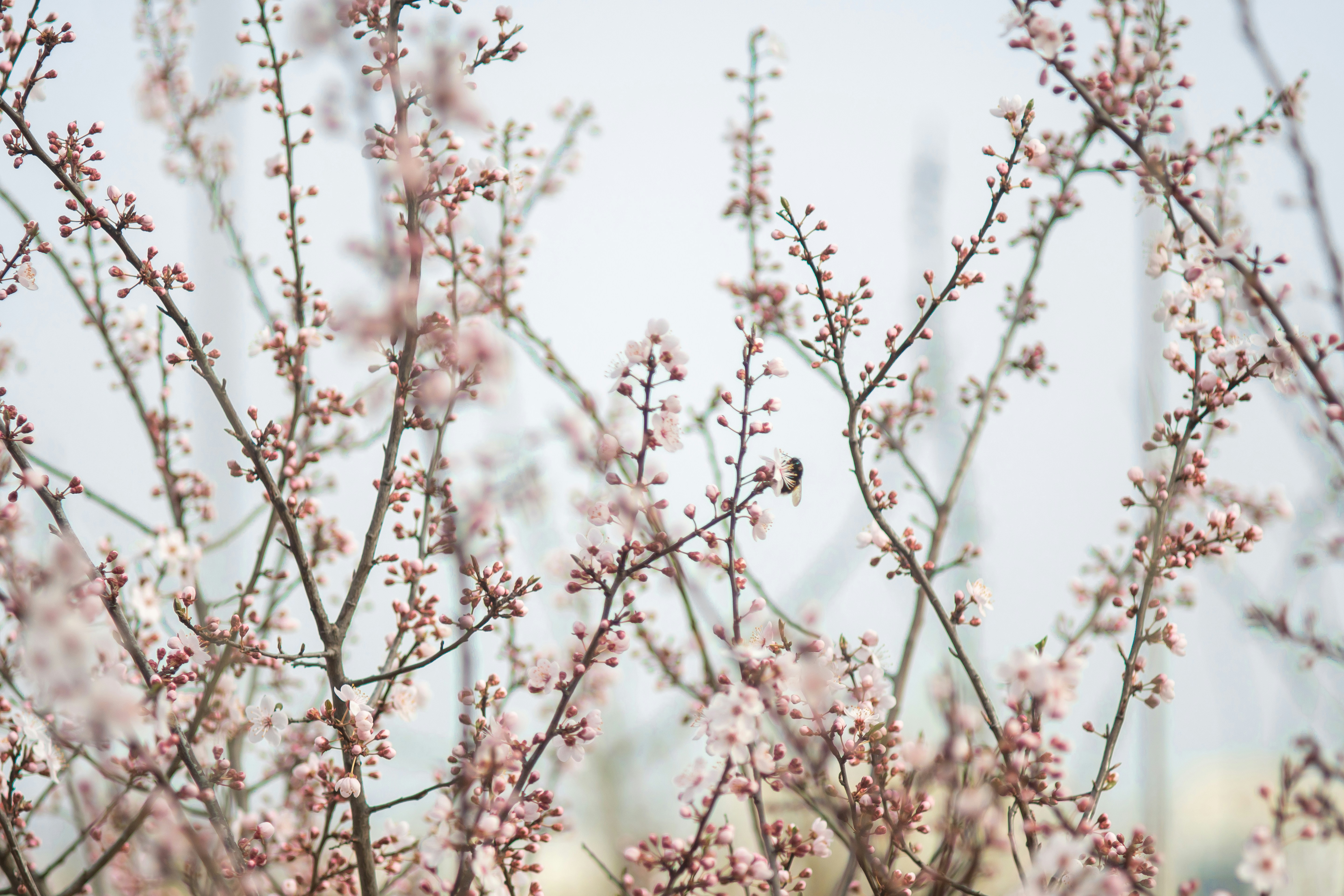 Photo by willpalmer13