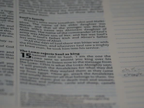 A close-up photo of a person reading a printed journal about plantation human resources.