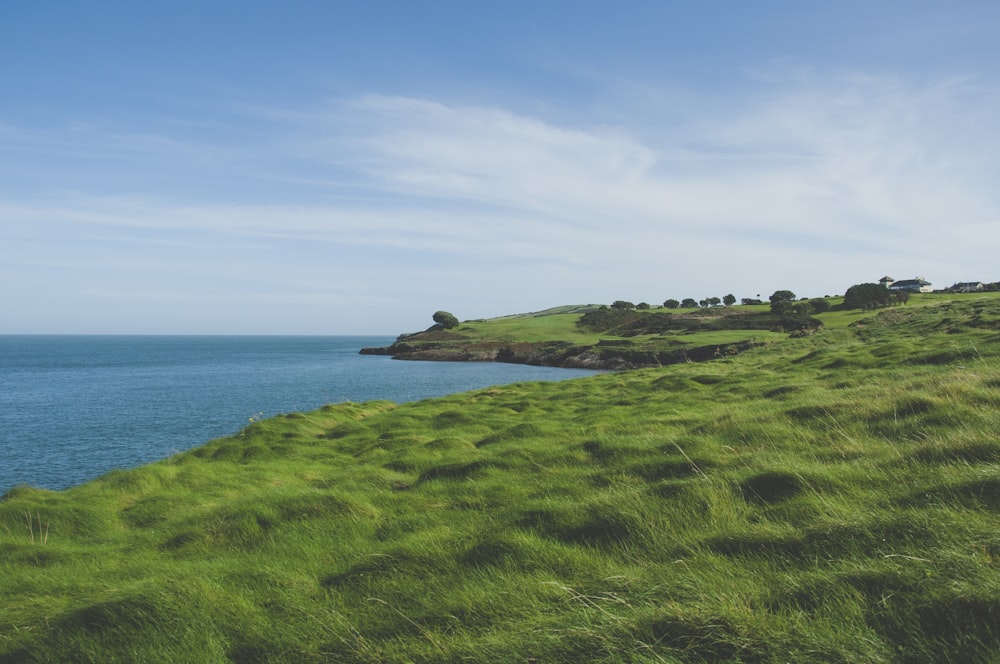 green grass field near body of water under blue sky during daytime