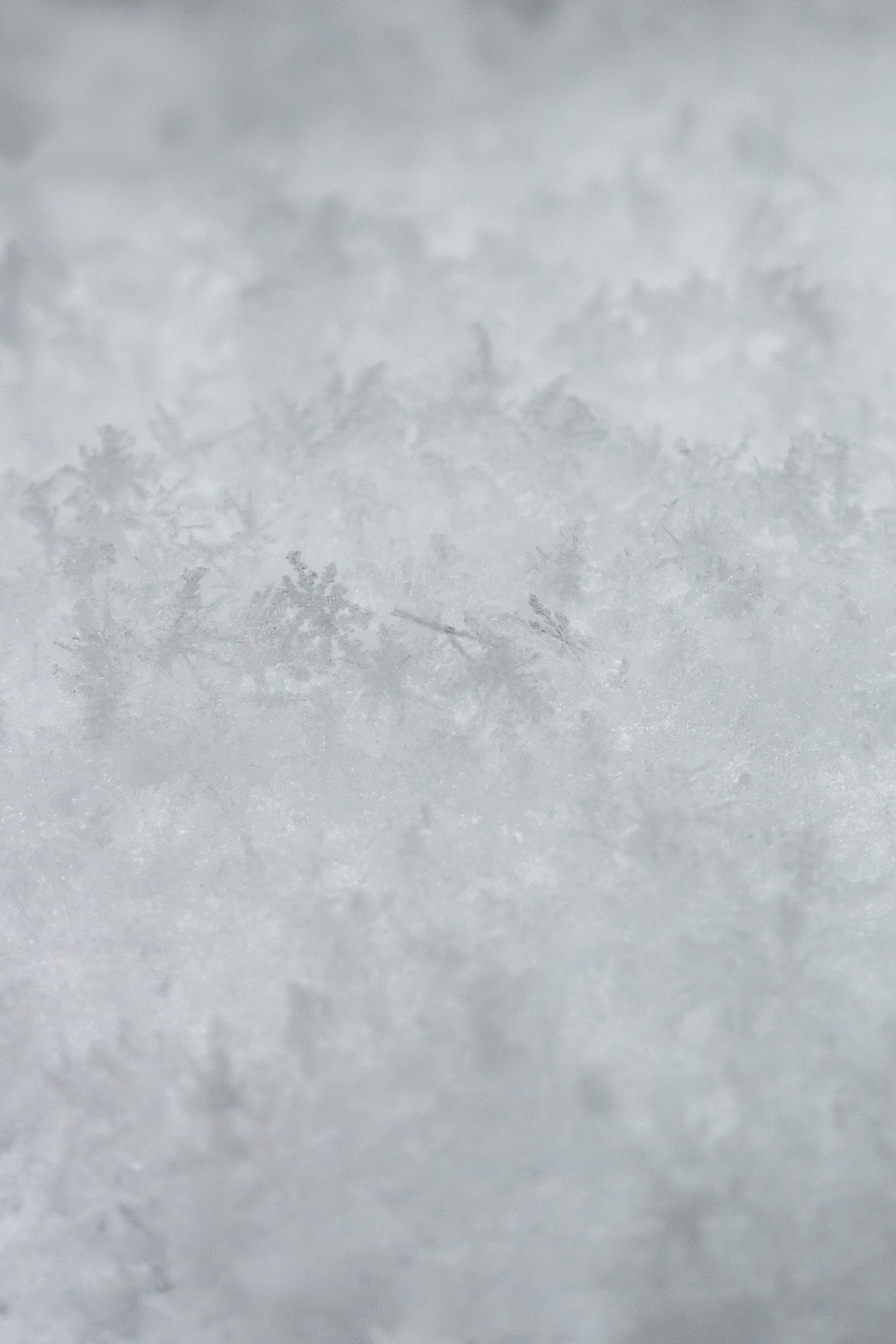 블리자드계정복구신청