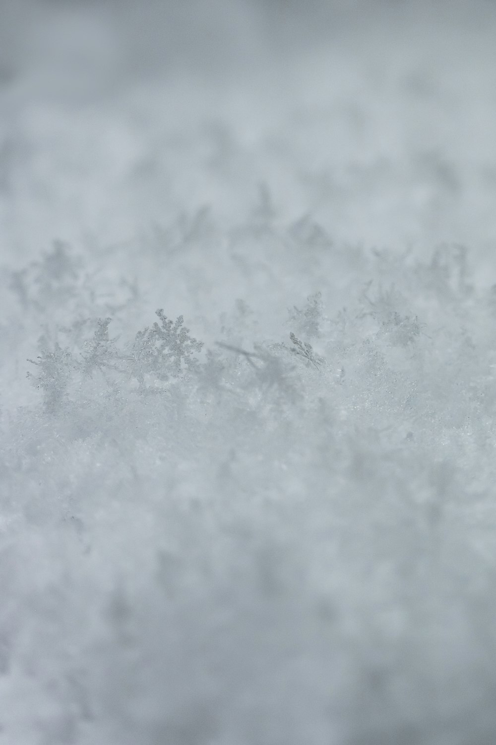 terreno innevato durante il giorno